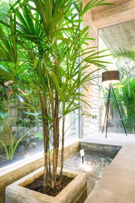 Villa Nimi Architectural Masterpiece Experience Private Pool & Great Concierge Service By Hum Living Tulum Exterior photo